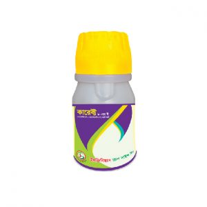 কারেক্ট ৮ এম ই