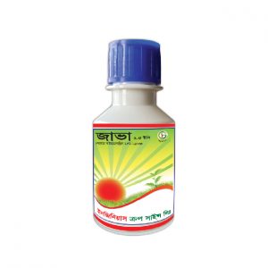 জাভা (২.৫ ইসি)